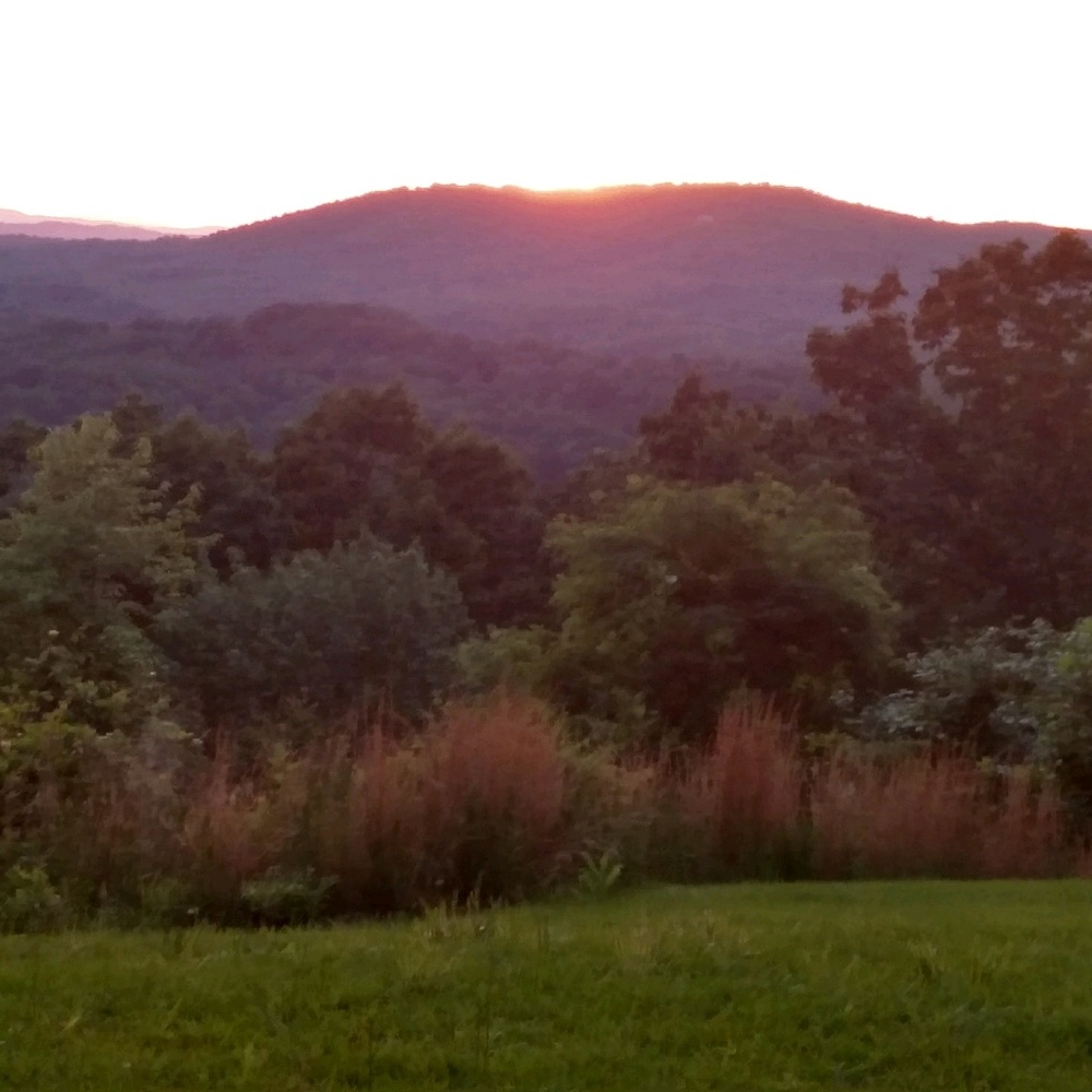 Meet your Posher, Deanna